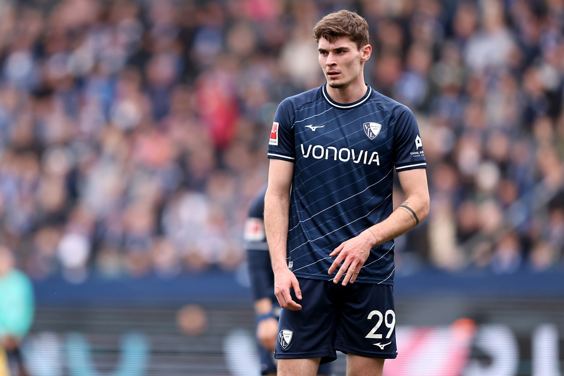 耀眼明星 耀眼明星