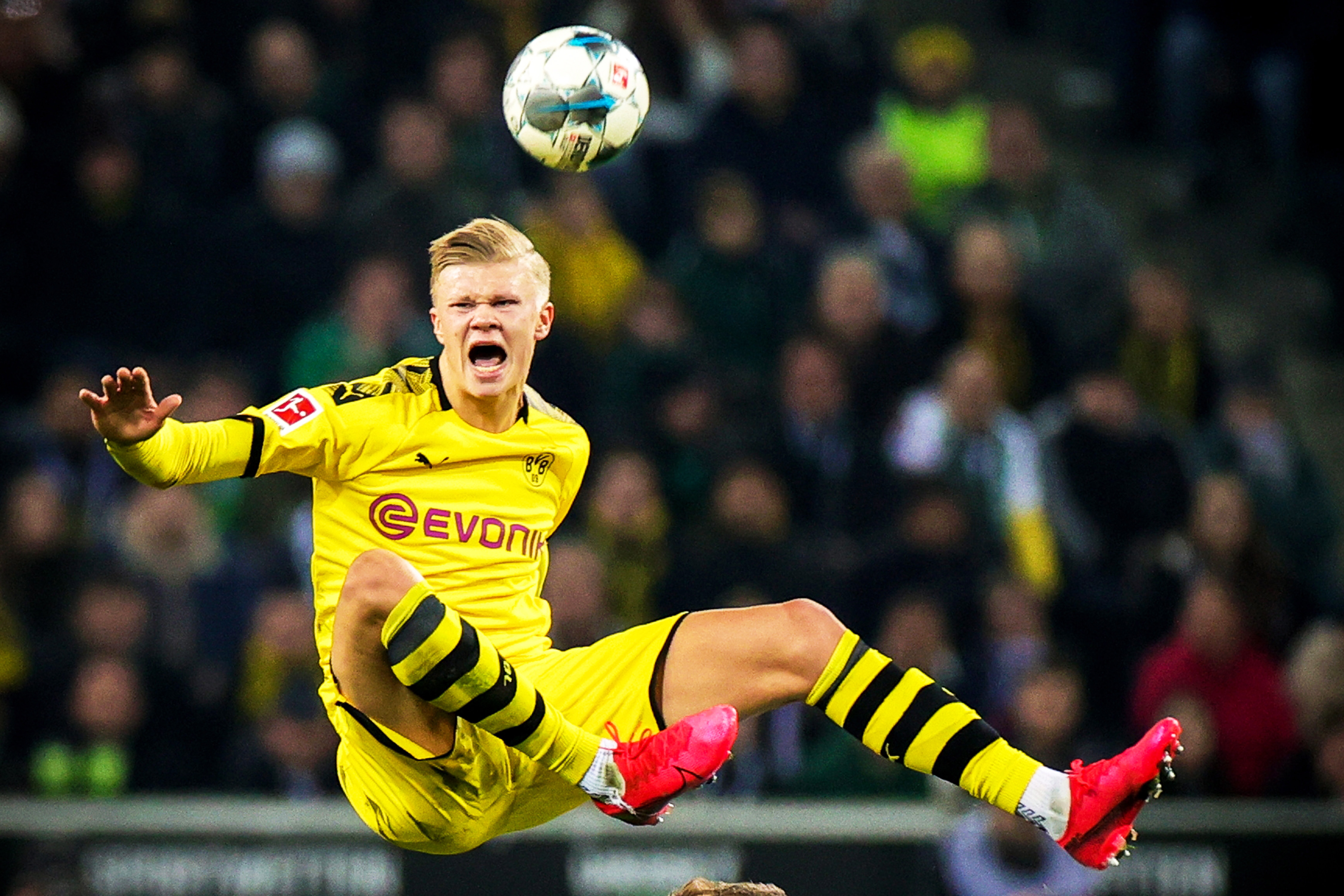 起贯穿了这 起贯穿了这